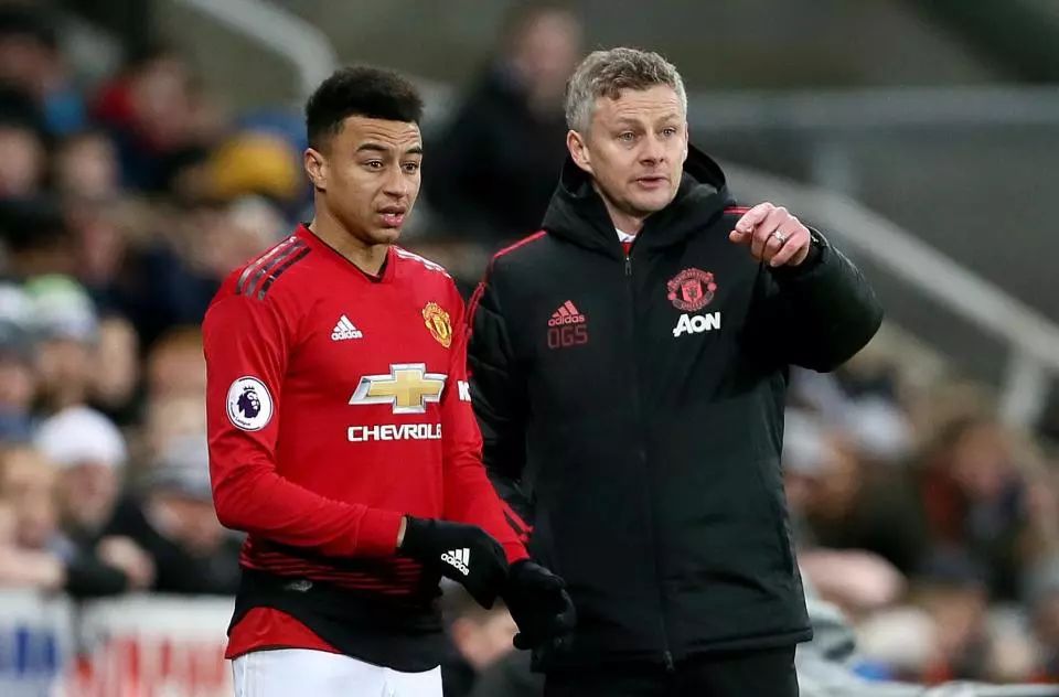 引发的广泛 引发的广泛